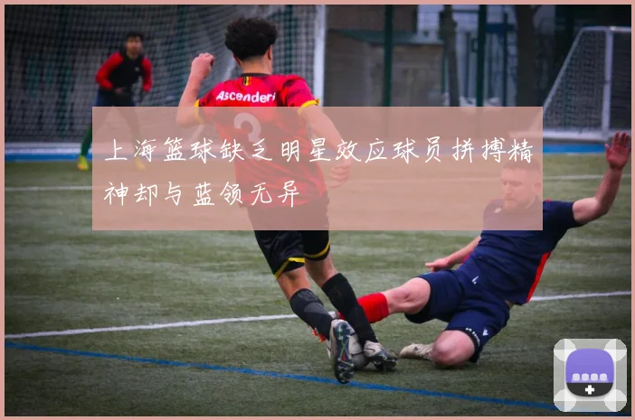 上海篮球缺乏明星效应球员拼搏精神却与蓝领无异
