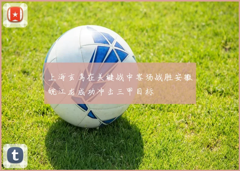 上海玄鸟在关键战中客场战胜安徽皖江龙成功冲击三甲目标