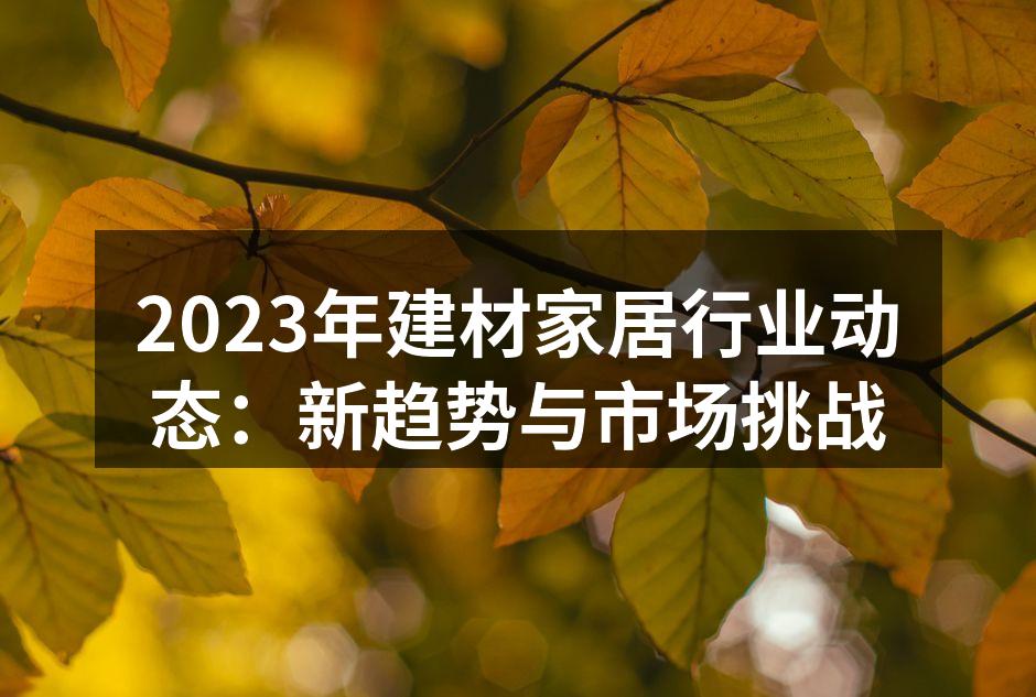 建材行业的新型环保材料展示
